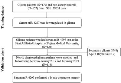 Serum microRNA-4297 is a sex-specific predictive biomarker of glioma grade and prognosis